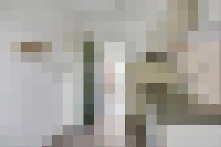 Estrikwerk 4 Makkum thumbnail 11