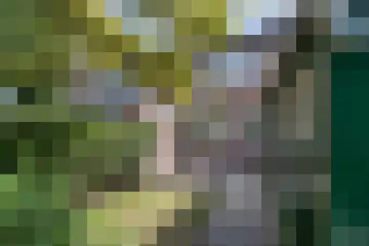 Estrikwerk 4 Makkum thumbnail 26