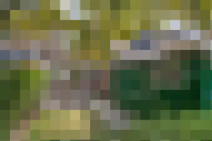 Estrikwerk 4 Makkum thumbnail 27