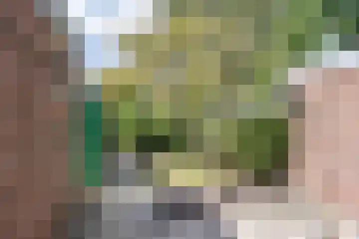 Estrikwerk 4 Makkum thumbnail 28