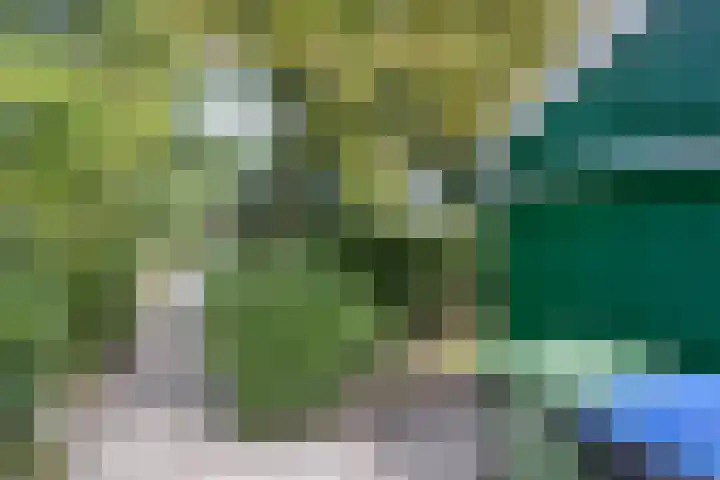 Estrikwerk 4 Makkum thumbnail 30
