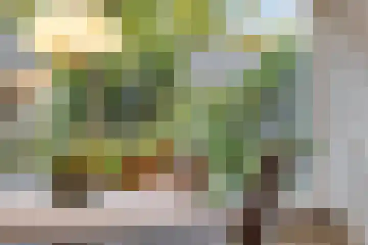 Esveen 13 Vries thumbnail 11