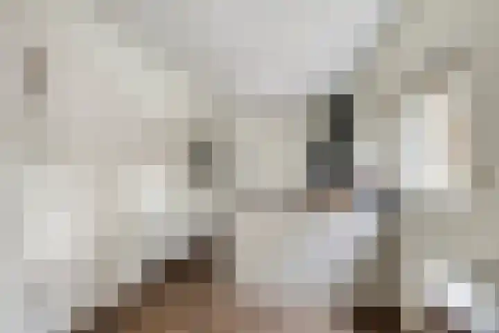 Esveen 13 Vries thumbnail 13