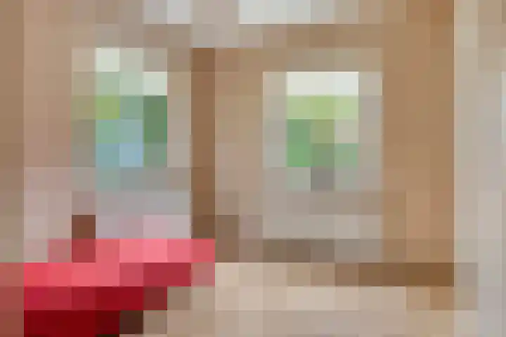 Esveen 13 Vries thumbnail 17