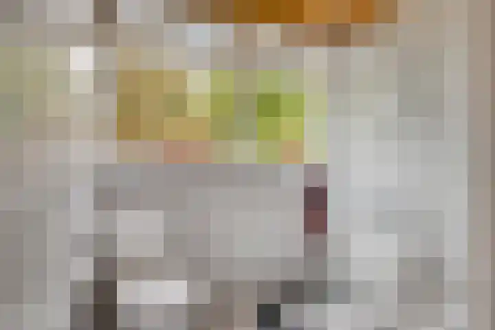 Esveen 13 Vries thumbnail 23