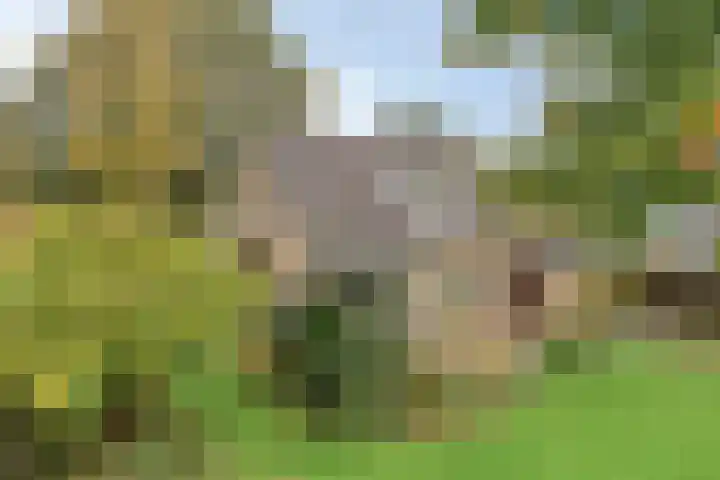 Esveen 13 Vries thumbnail 28