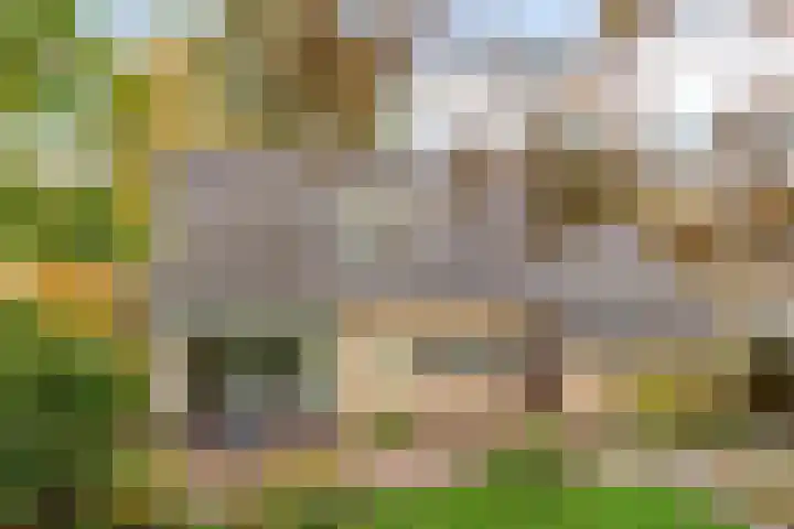 Esveen 13 Vries thumbnail 29