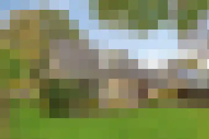 Esveen 13 Vries thumbnail 30