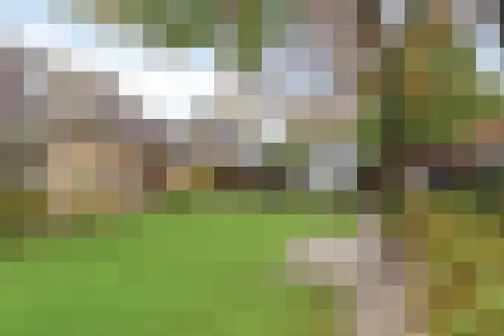 Esveen 13 Vries thumbnail 31