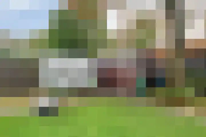 Esveen 13 Vries thumbnail 32