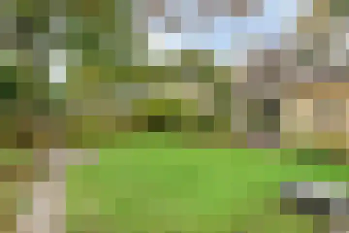 Esveen 13 Vries thumbnail 33