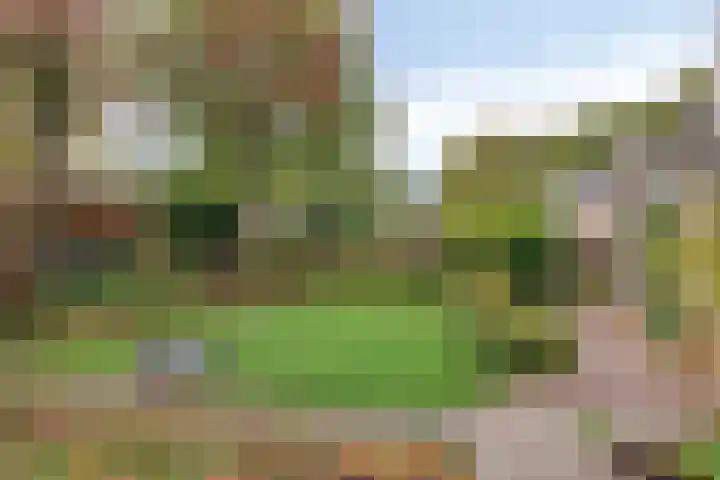 Esveen 13 Vries thumbnail 34