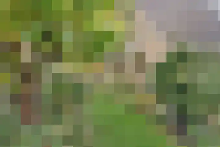 Esveen 13 Vries thumbnail 36