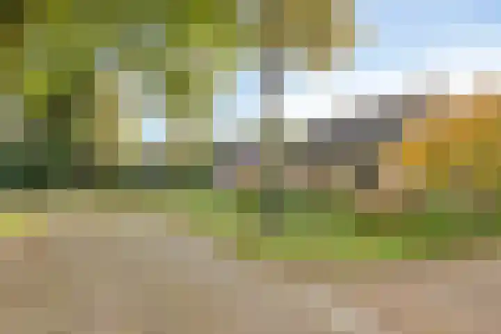 Esveen 13 Vries thumbnail 38