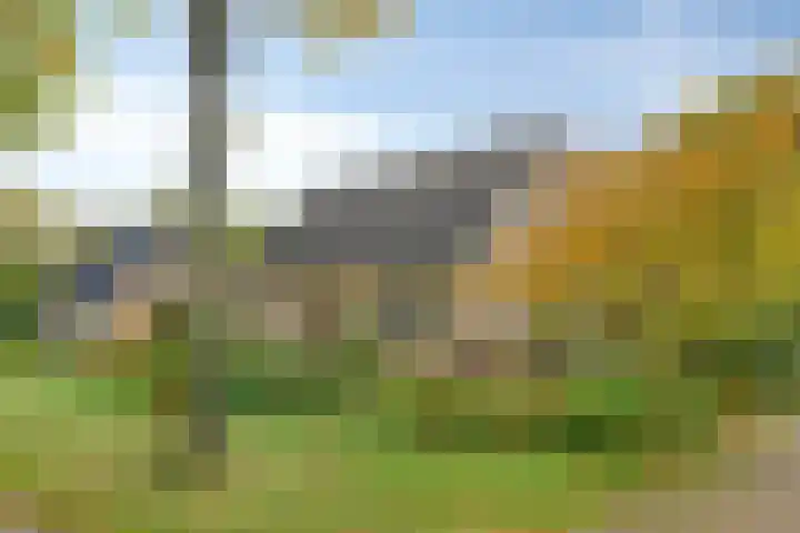 Esveen 13 Vries thumbnail 39