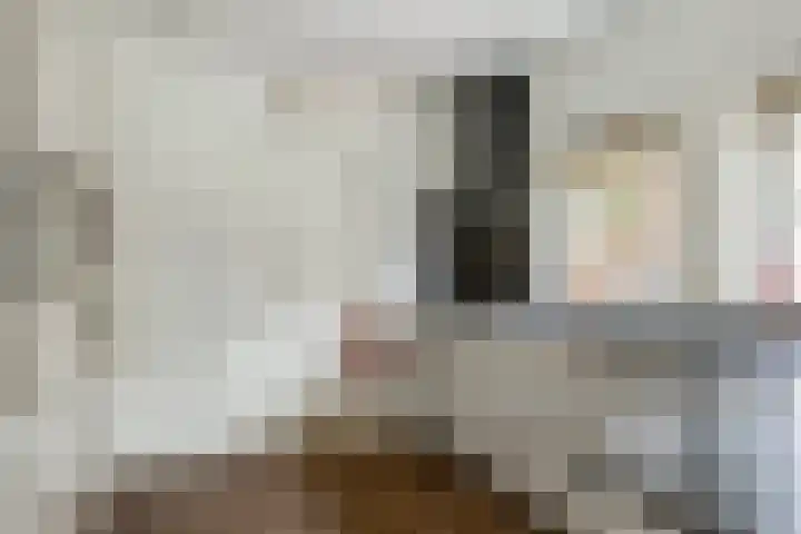 Esveen 13 Vries thumbnail 4