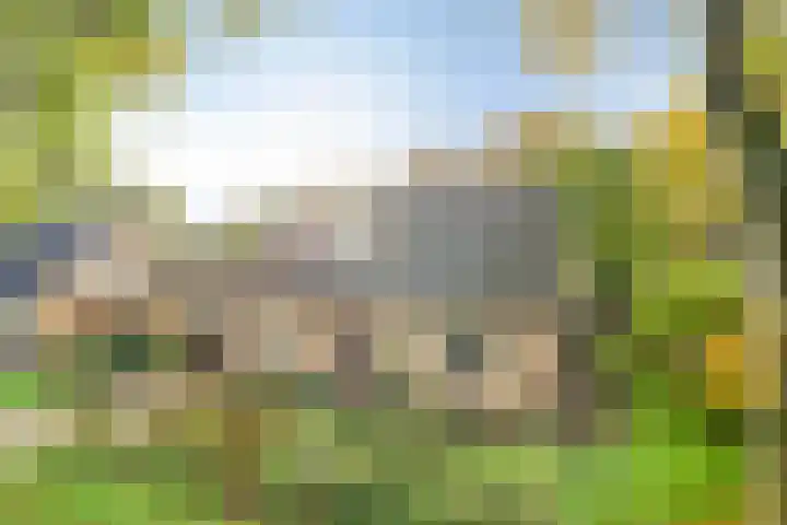 Esveen 13 Vries thumbnail 40