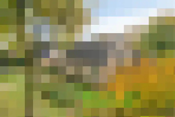 Esveen 13 Vries thumbnail 41