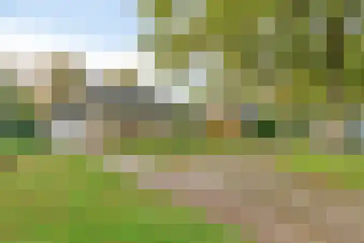 Esveen 13 Vries thumbnail 42