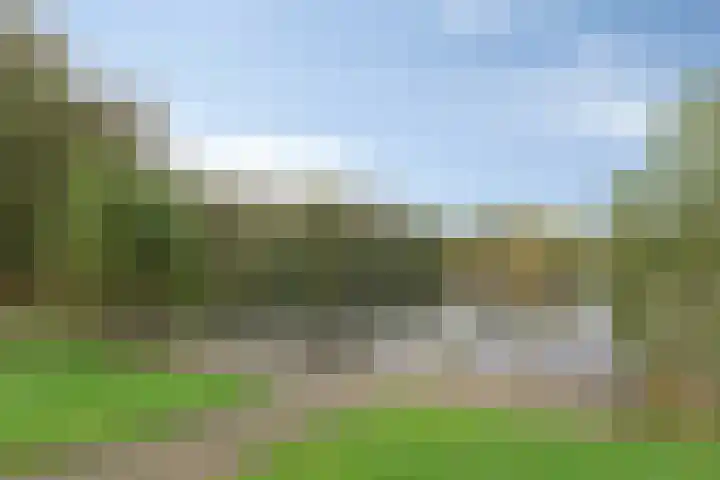 Esveen 13 Vries thumbnail 43