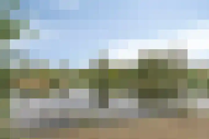 Esveen 13 Vries thumbnail 44