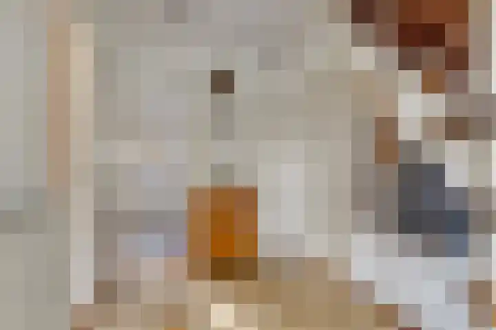 Esveen 13 Vries thumbnail 7