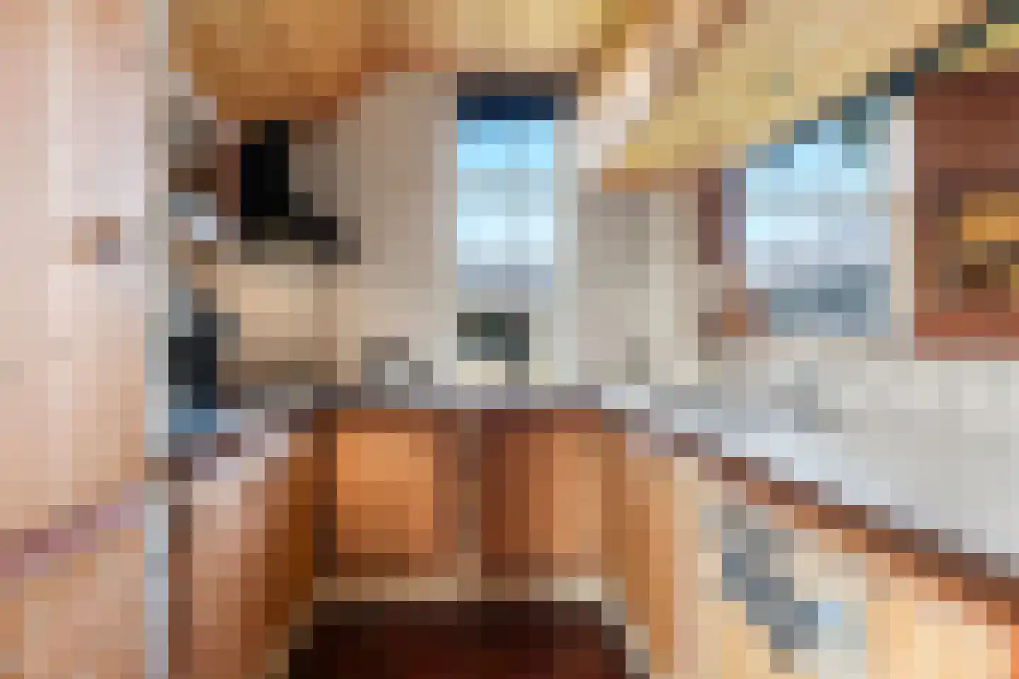 Esvelderweg 21 Kootwijkerbroek thumbnail 17
