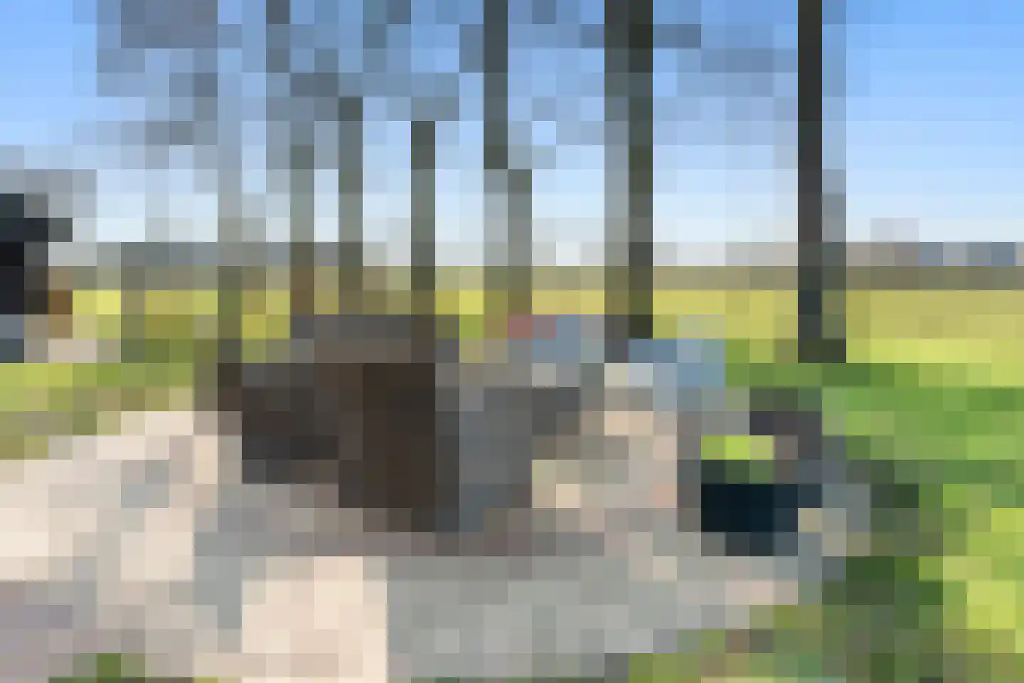 Esvelderweg 21 Kootwijkerbroek thumbnail 34