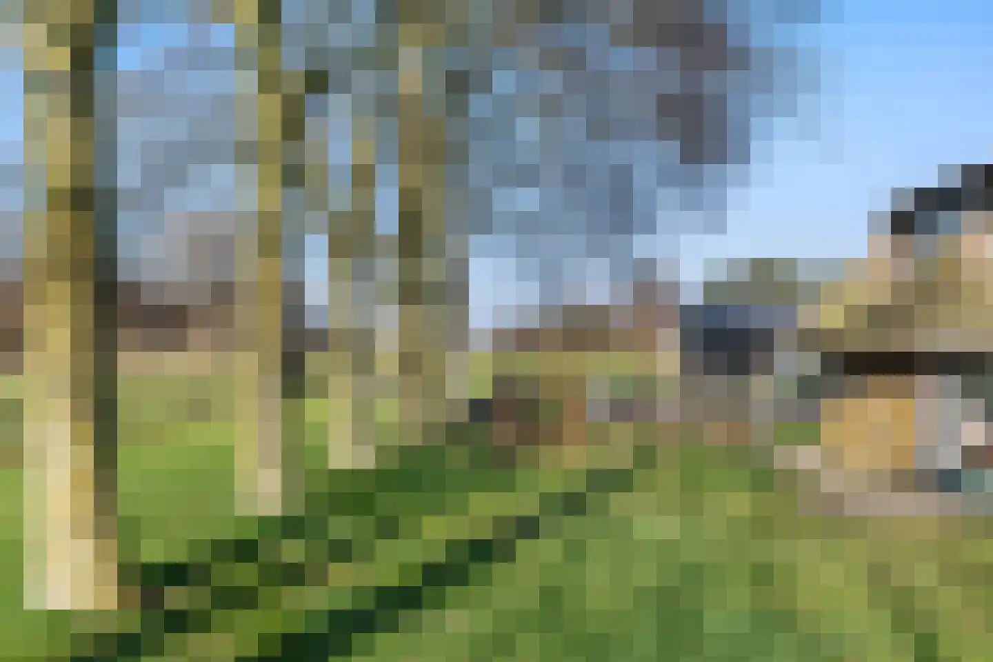 Esvelderweg 21 Kootwijkerbroek thumbnail 37