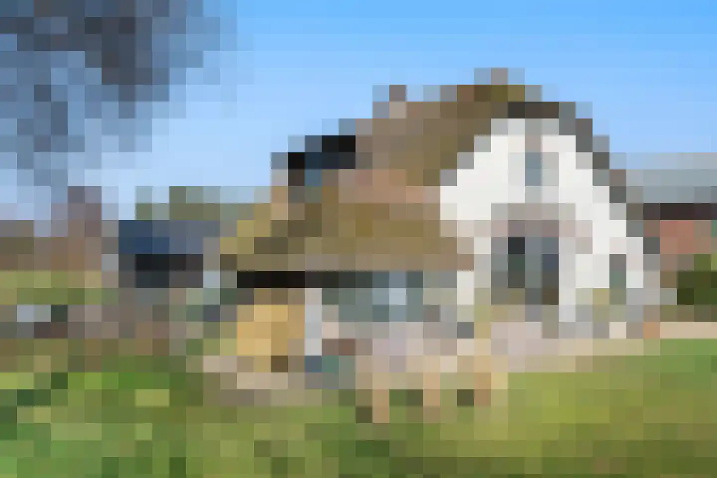 Esvelderweg 21 Kootwijkerbroek thumbnail 39