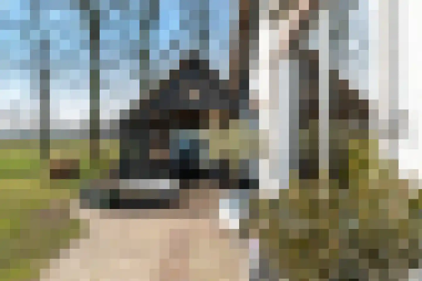 Esvelderweg 21 Kootwijkerbroek thumbnail 4