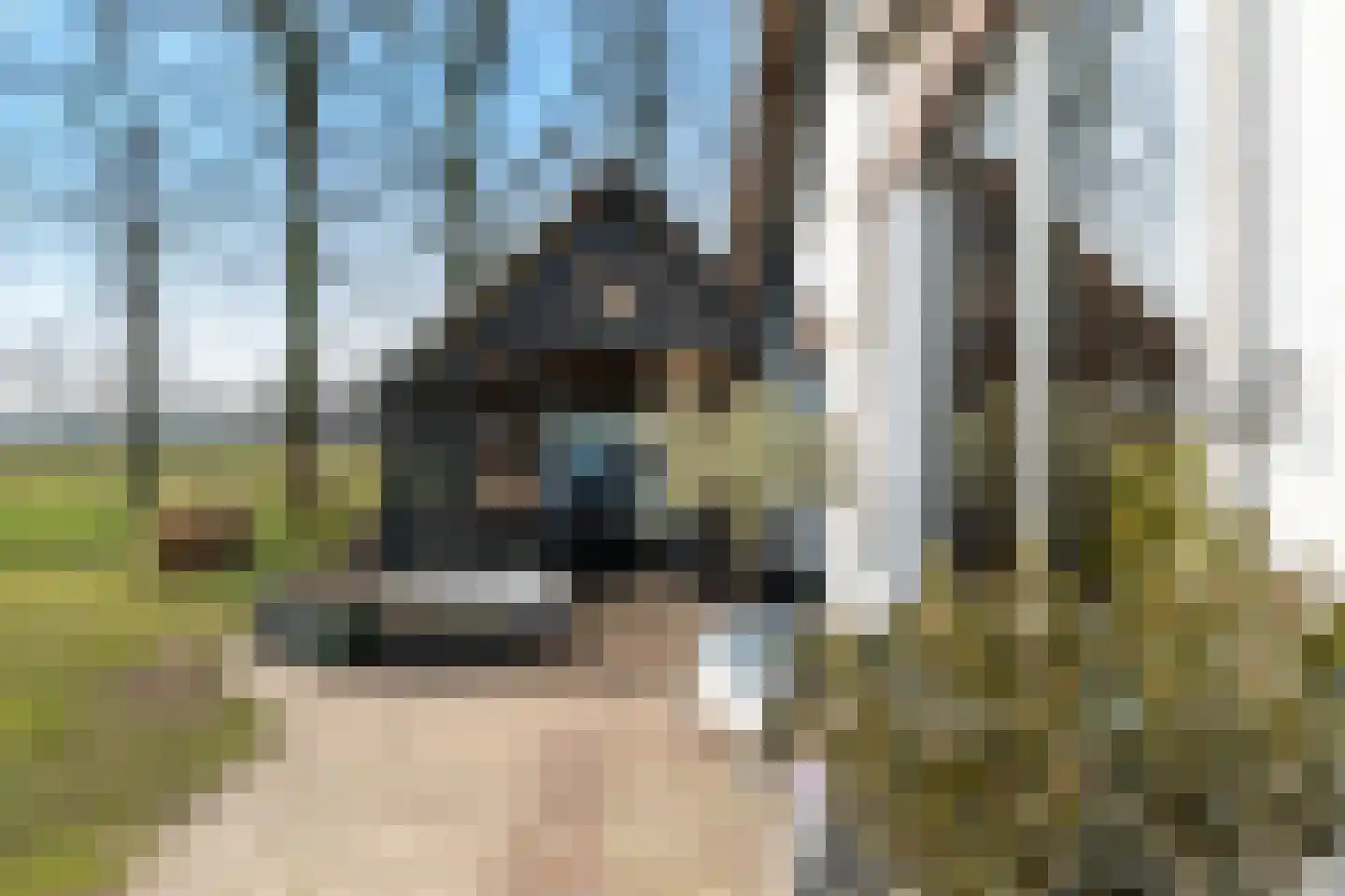 Esvelderweg 21 Kootwijkerbroek thumbnail 40