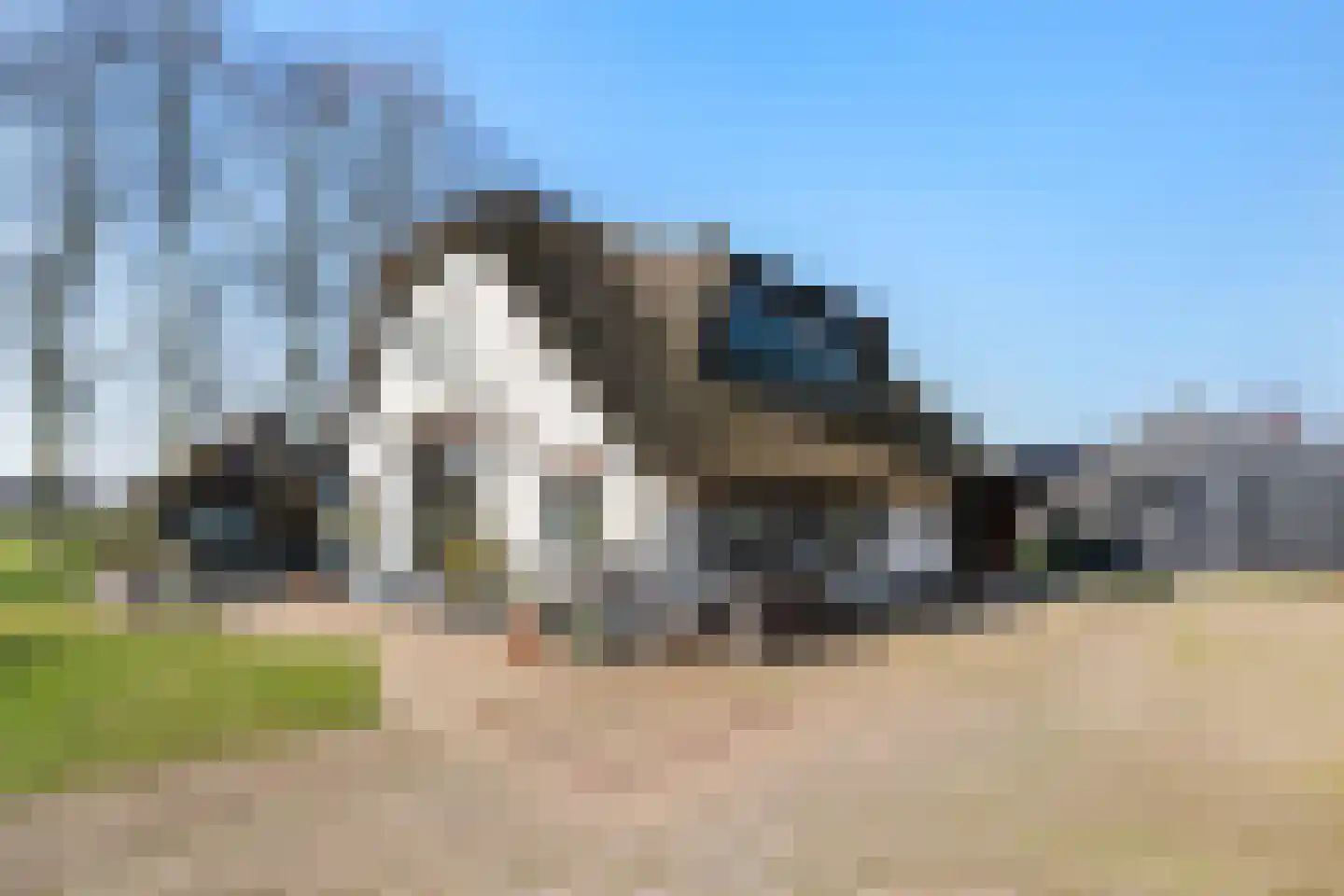 Esvelderweg 21 Kootwijkerbroek thumbnail 46
