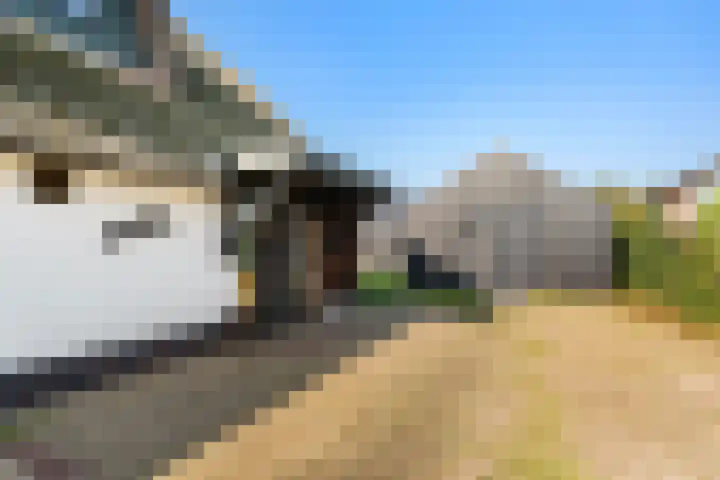 Esvelderweg 21 Kootwijkerbroek thumbnail 6