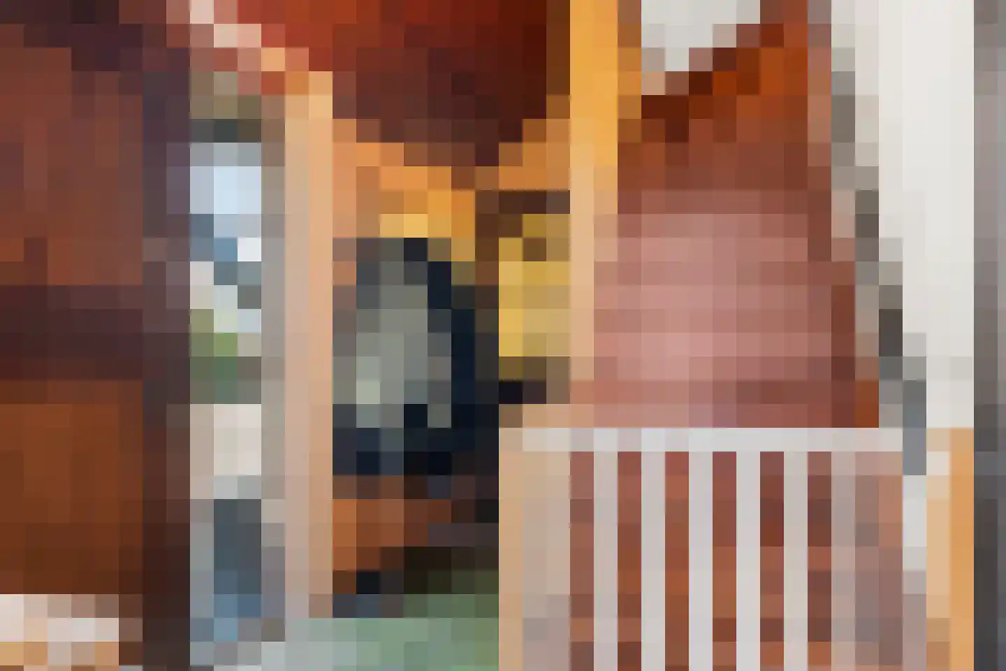 Esvelderweg 21 Kootwijkerbroek thumbnail 7