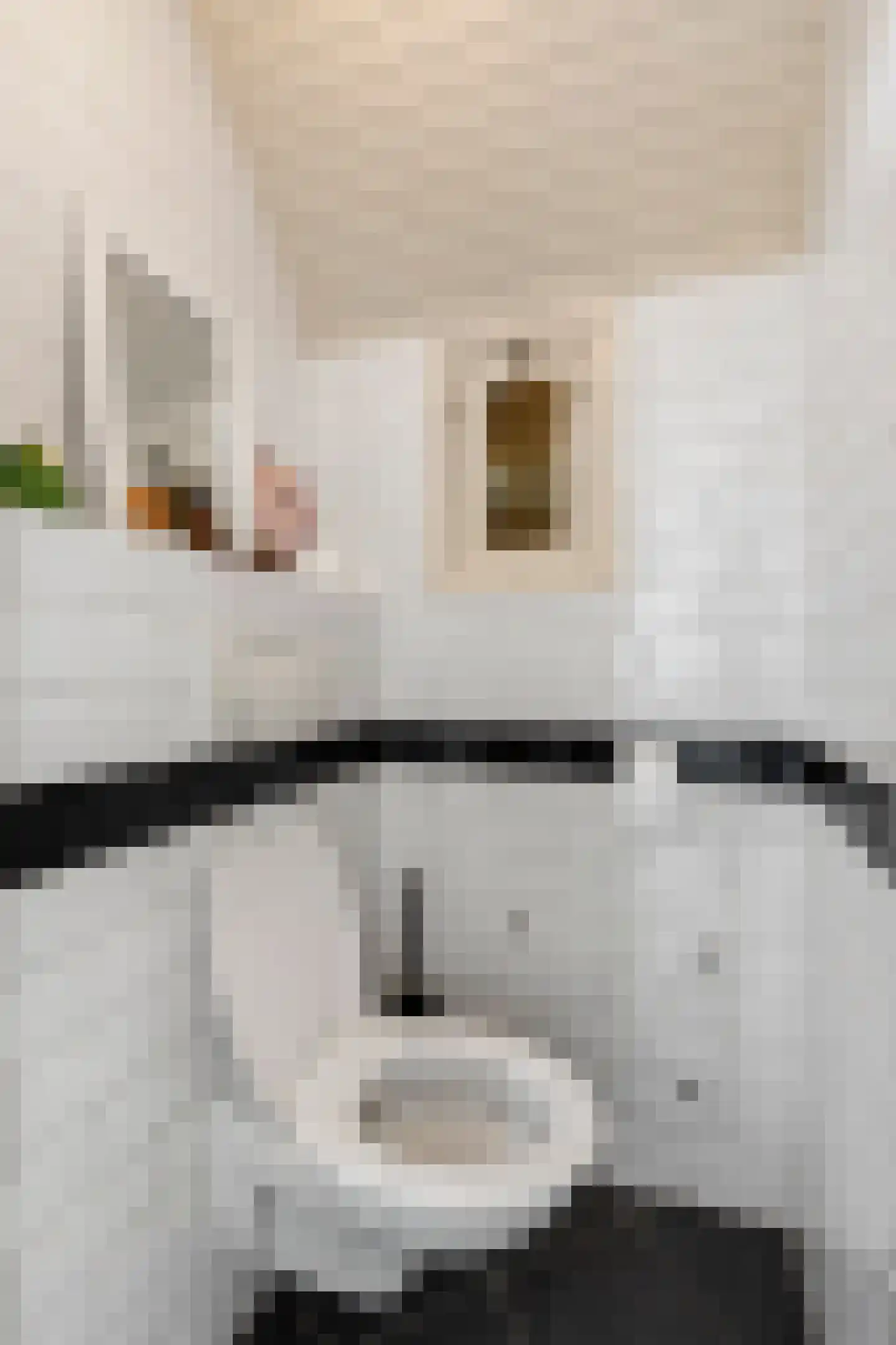 Esvelderweg 21 Kootwijkerbroek thumbnail 9