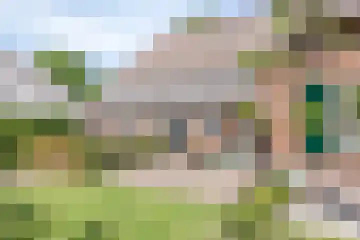 Esveldsdijk 4 Harfsen thumbnail 14