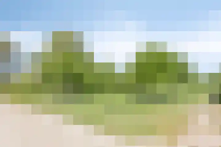 Esveldsdijk 4 Harfsen thumbnail 44