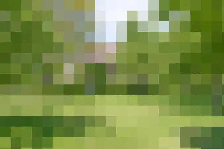 Esveldsdijk 4 Harfsen thumbnail 46