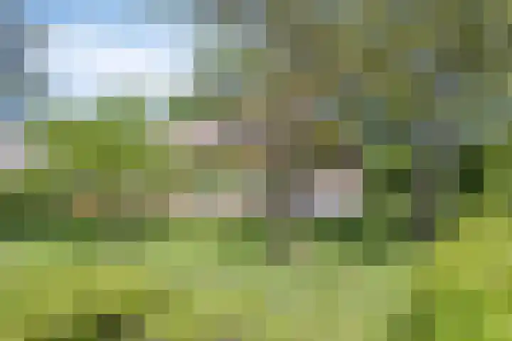 Esveldsdijk 4 Harfsen thumbnail 47