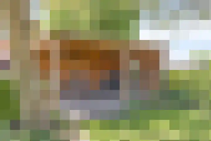 Esveldsdijk 4 Harfsen thumbnail 49
