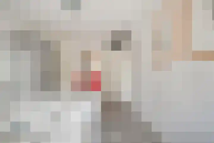 Esveldsdijk 4 Harfsen thumbnail 8
