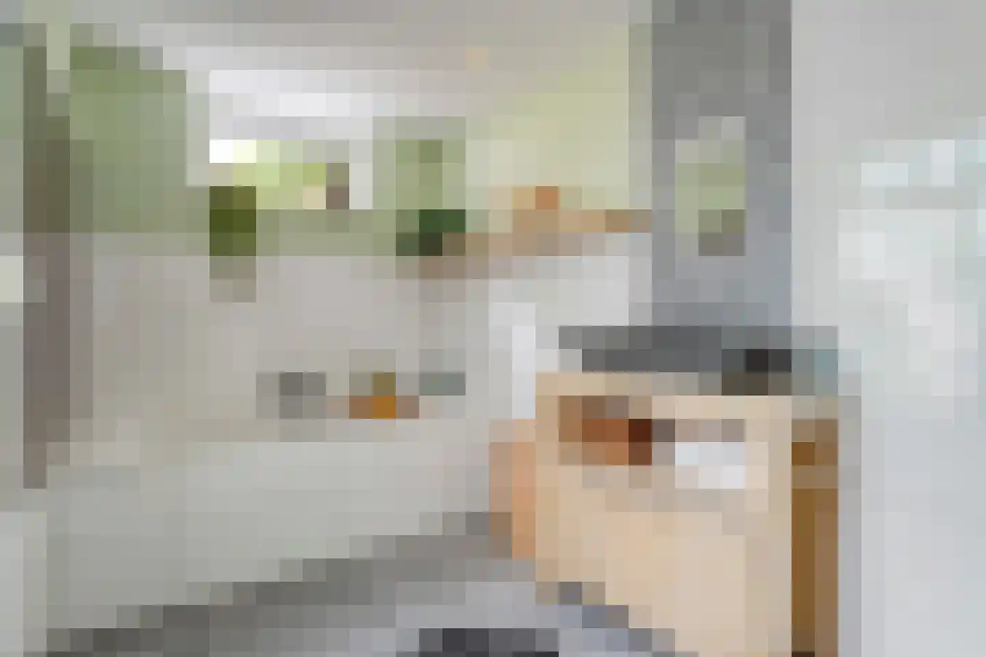 Eswal 1 Rolde thumbnail 18