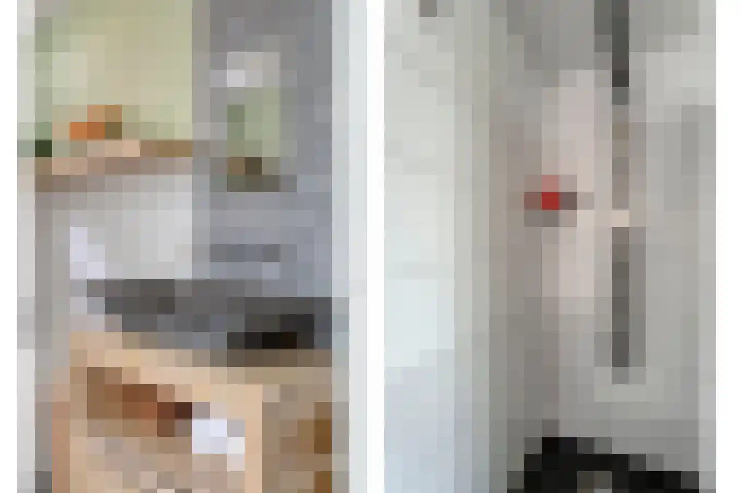 Eswal 1 Rolde thumbnail 20