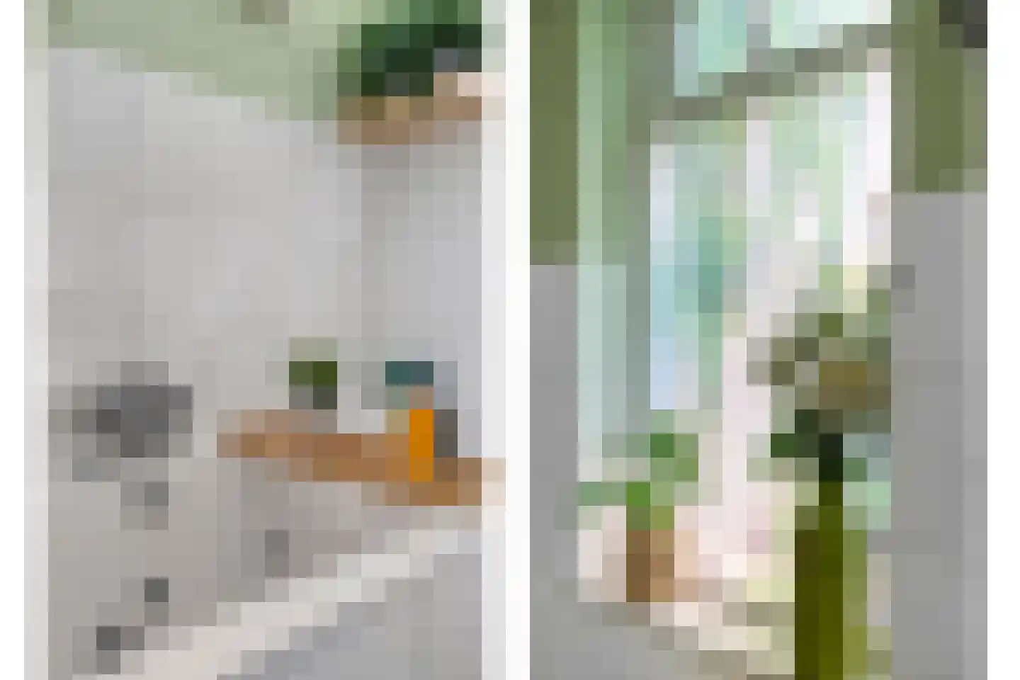 Eswal 1 Rolde thumbnail 21