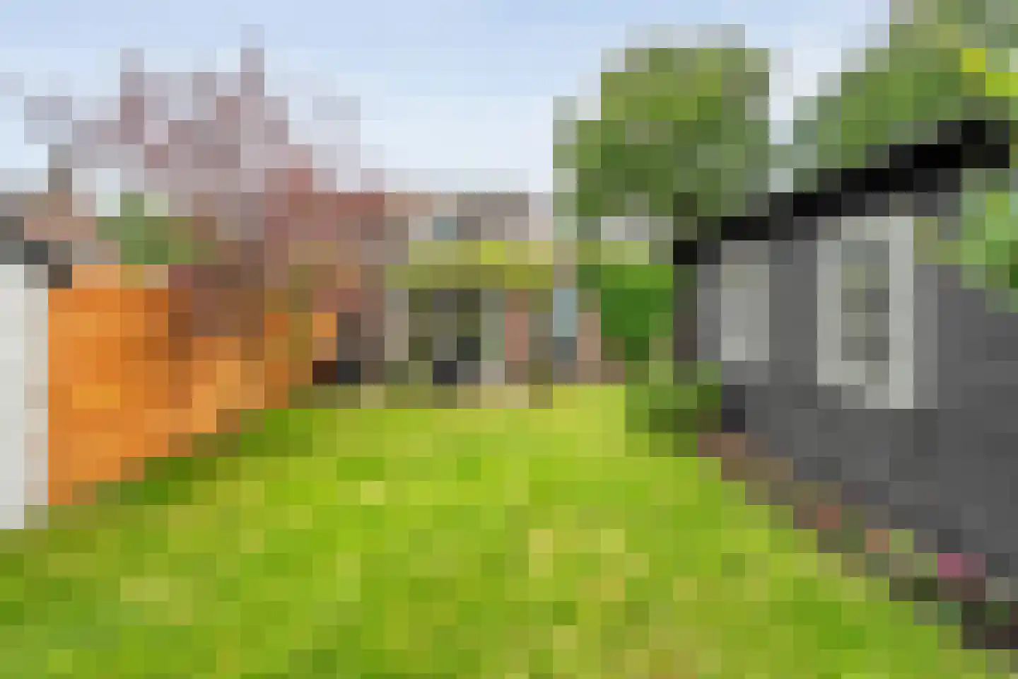 Eswal 1 Rolde thumbnail 32