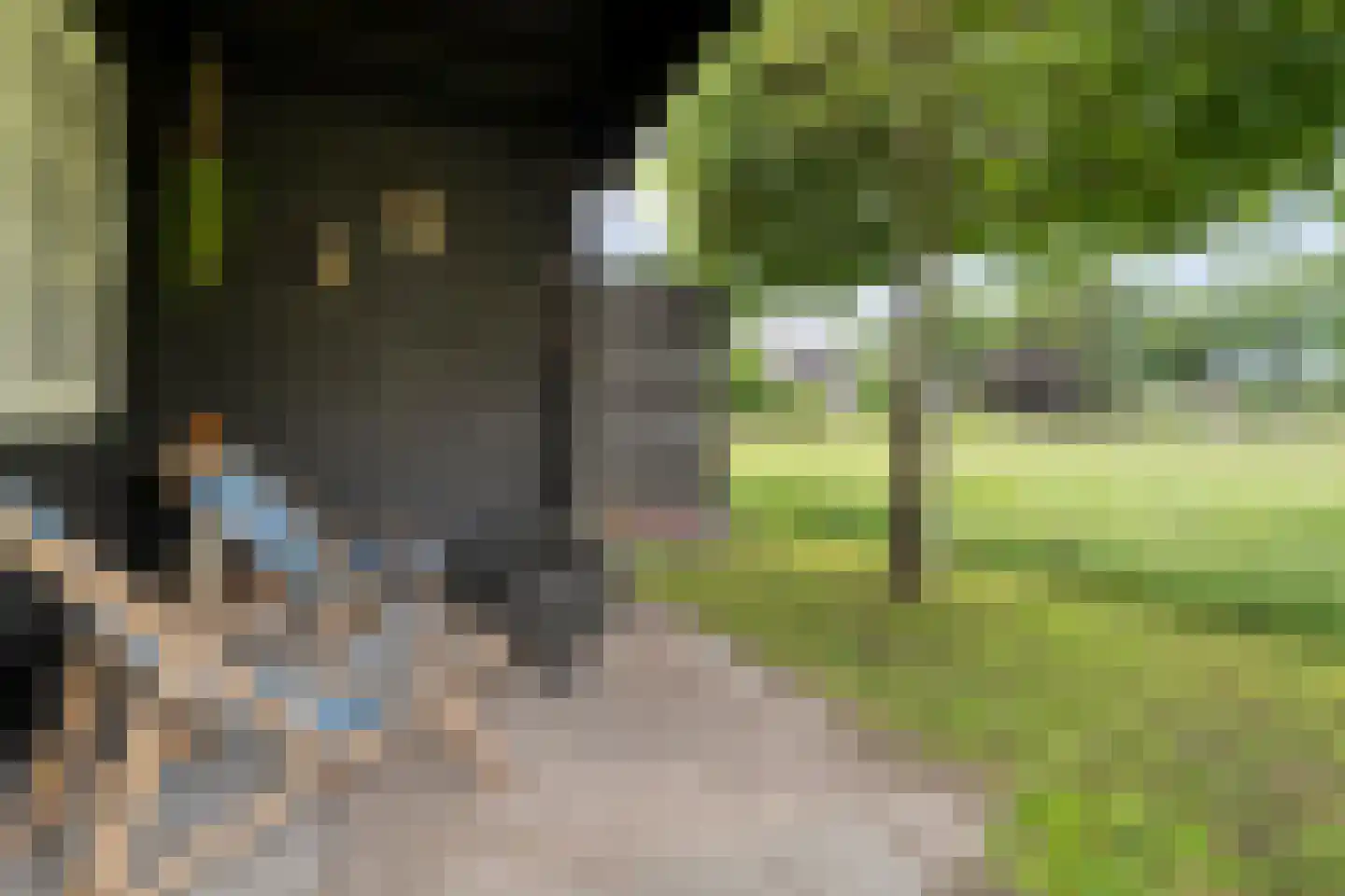 Eswal 1 Rolde thumbnail 33