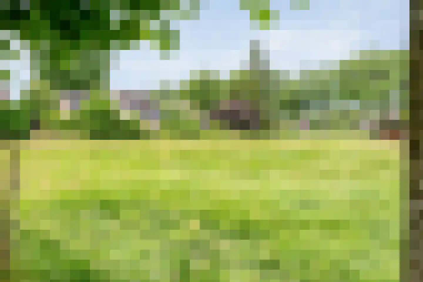 Eswal 1 Rolde thumbnail 35