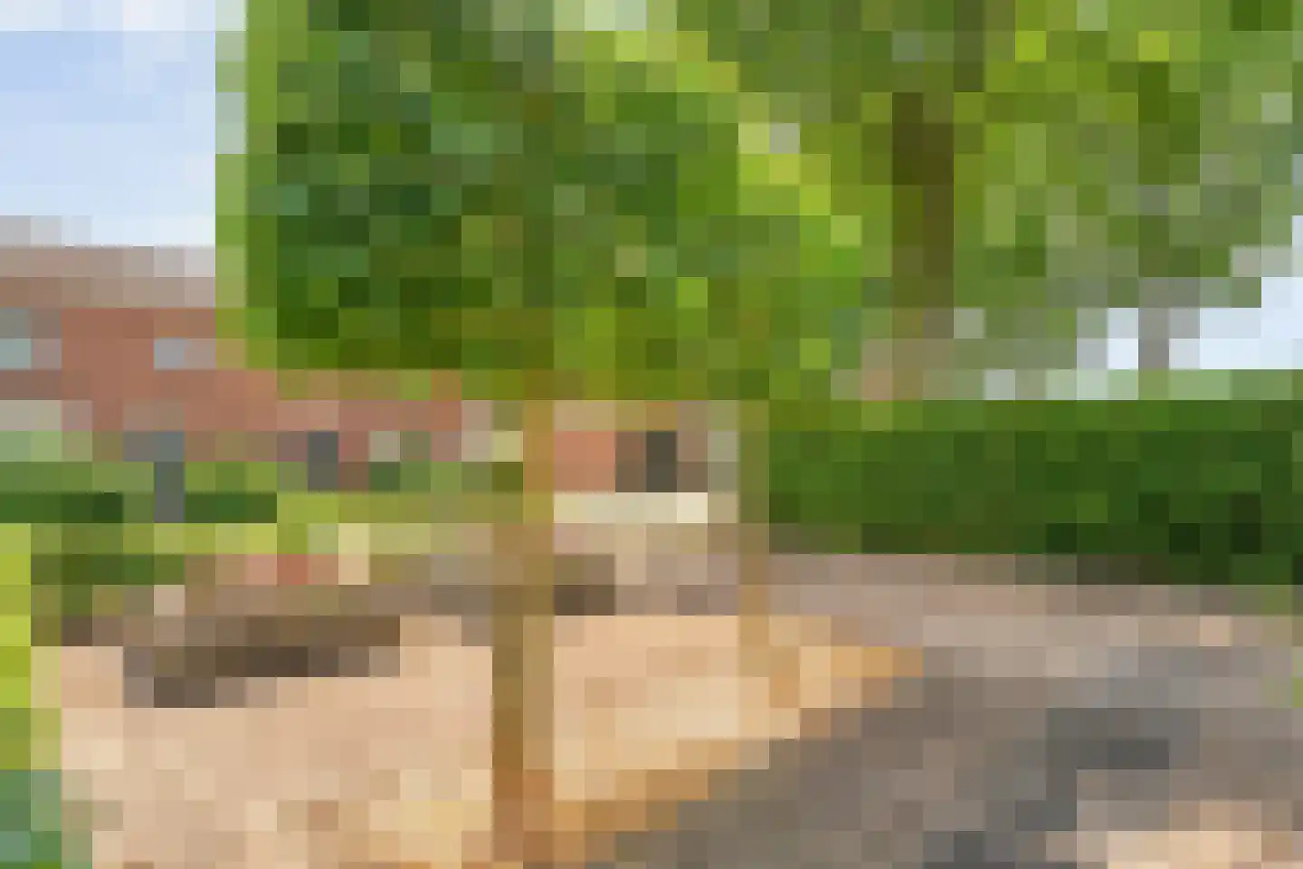Eswal 1 Rolde thumbnail 37