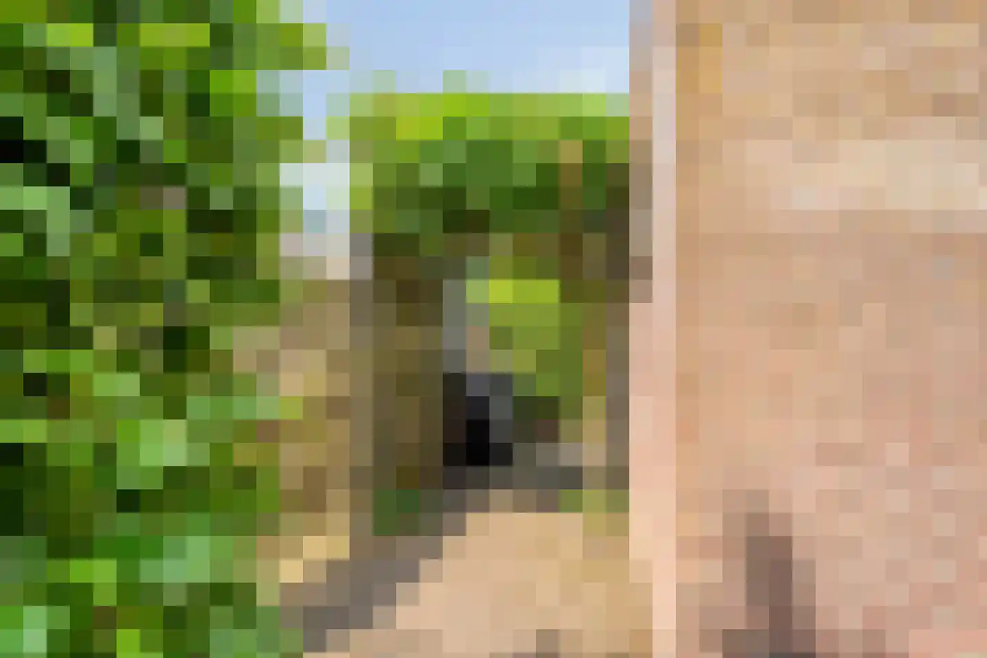 Eswal 1 Rolde thumbnail 39